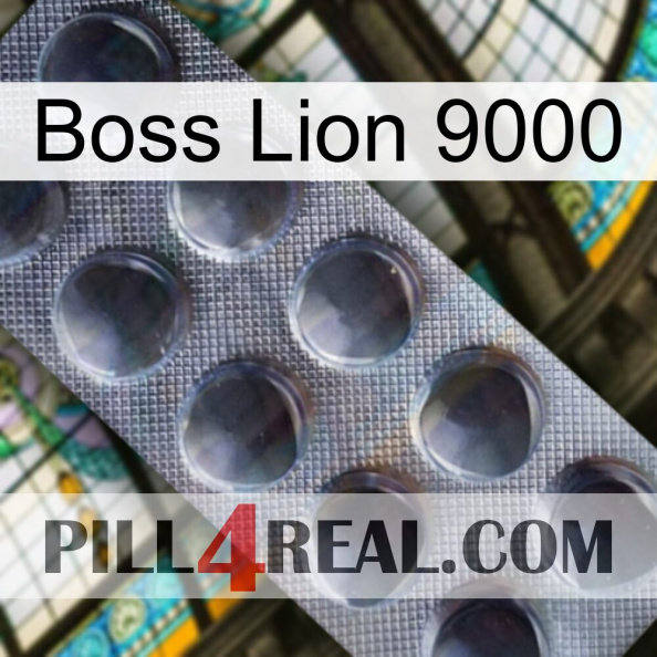 Boss Lion 9000 30.jpg